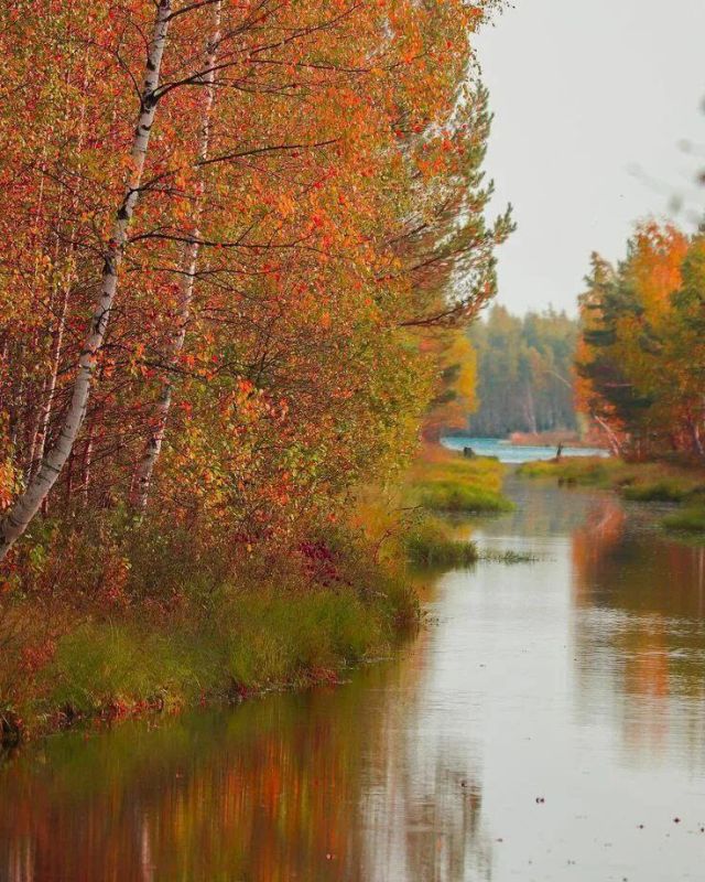 � ������ ������ ��������� , ��� ��� �� ��� ��� ��� ����� . ����� ���� �� ��� ���������� , ��� ���� ����������� ����