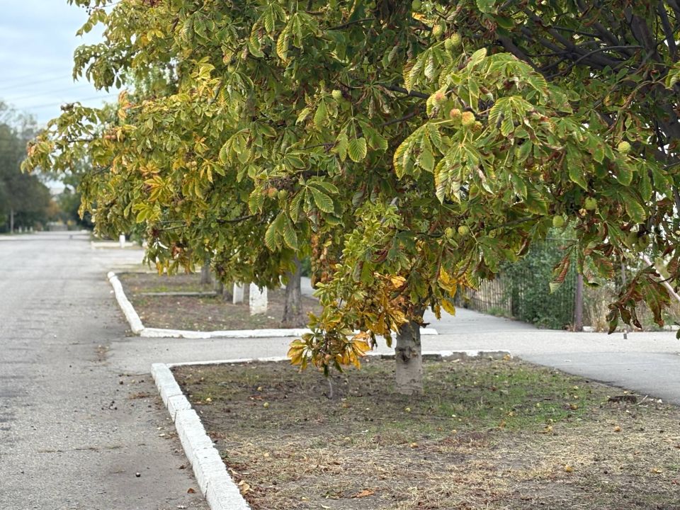 Доброе субботнее утро, дорогие жители!