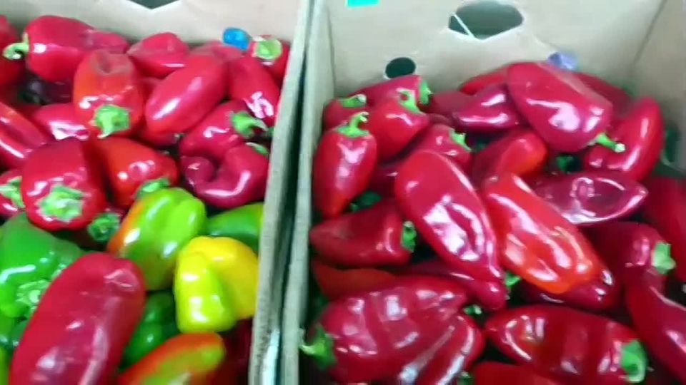 ���������� �����: ������������� ������� ���������� �������������� � ������������