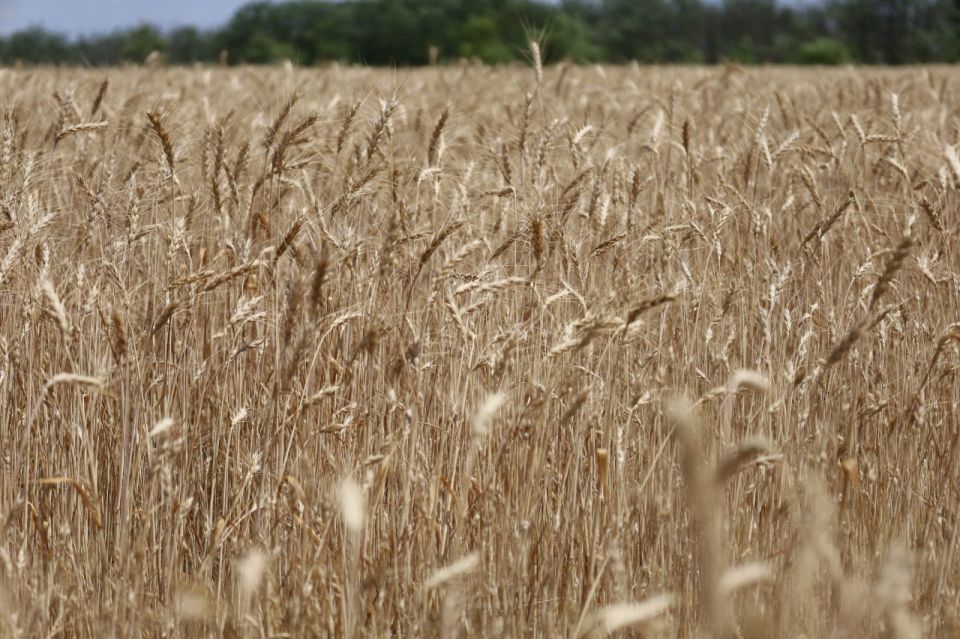 ������� ������������ ������ ��������� ��������� ����� ����� ����������������