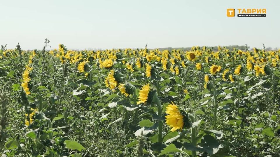 �������� ������ ��������� �������� � ���� ���������� ��������� ��������� � ���������������� ��������������