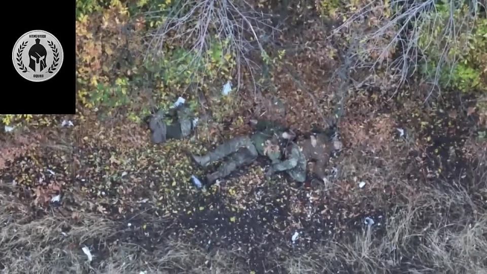 ׸���� ������ �� ����������� �� ����������� �����������