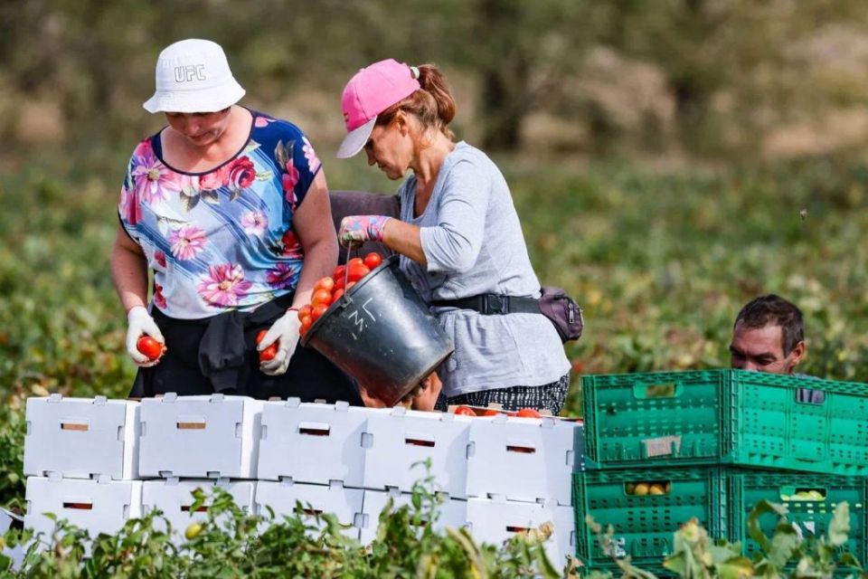Владимир Сальдо поздравил аграриев Херсонской области с профессиональным праздником