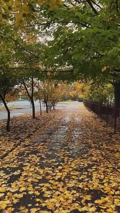 ������� ������. ��������� �� ������.��