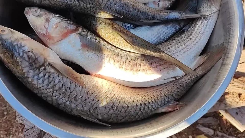 ����� ����������: ����� �� ������� � ���� ��������� ������������� ������ ������� ����