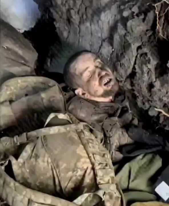 ������ ������ �� ���������� �����������