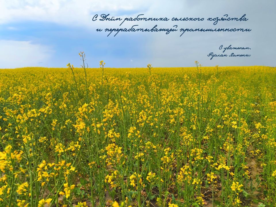 Руслан Хоменко: Дорогие труженики села, переработчики и ветераны отрасли!