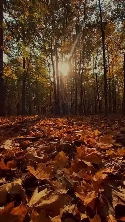 ����� � ��� ����� ���� ���� ��� �� �������, � ����� ��������� ���� ��������� � �������� �������� ������