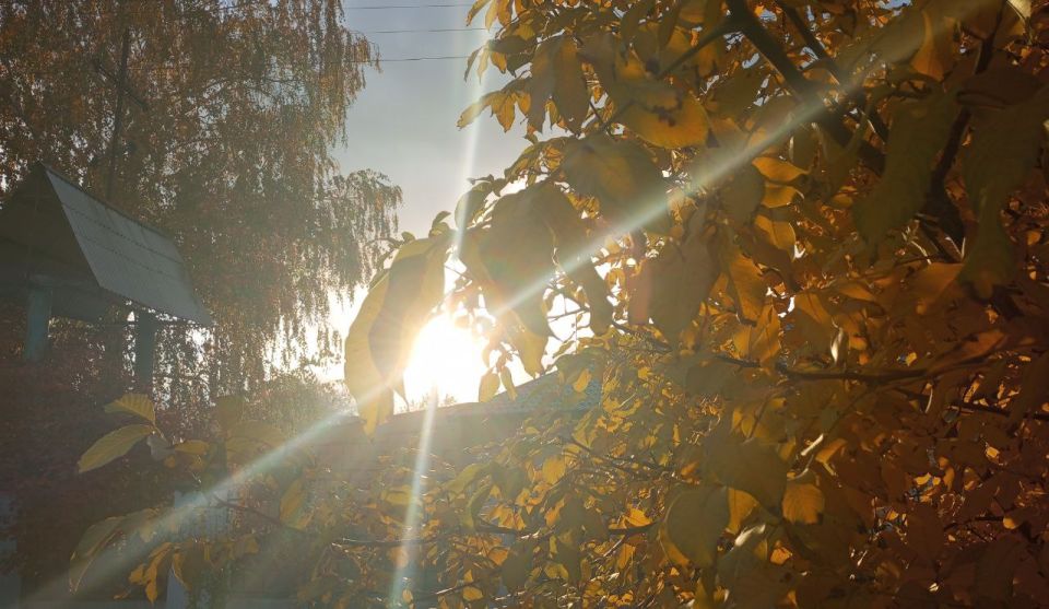 � ������ �����, �����������!