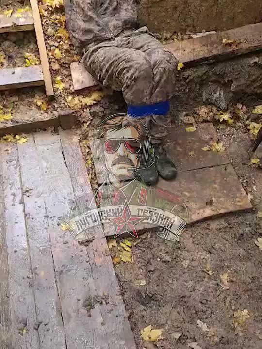 ������� �� ��������� ������� "�": ����� �������� ����� ���������� ������� ����-��������