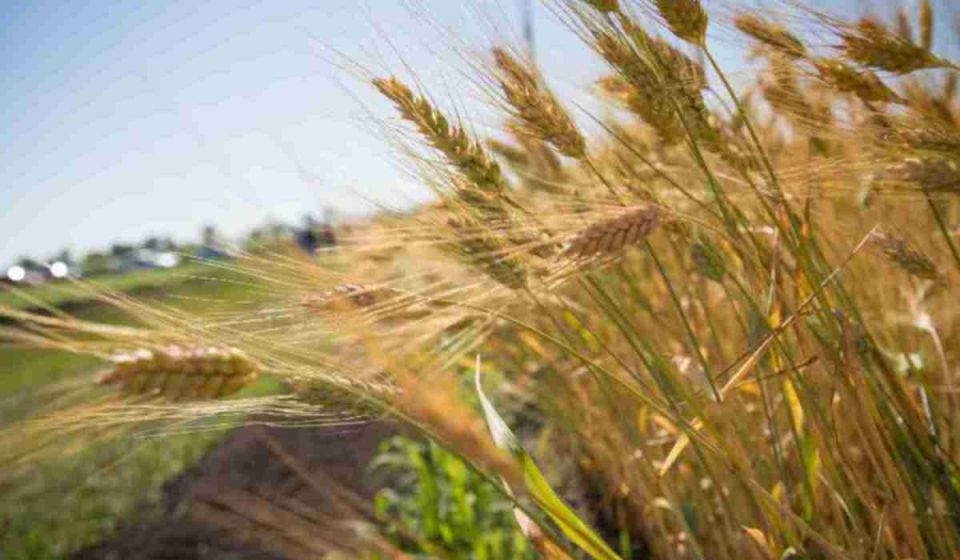 ������� ��������: ��������� ��������� ����������������� ��������� ���������� �������!