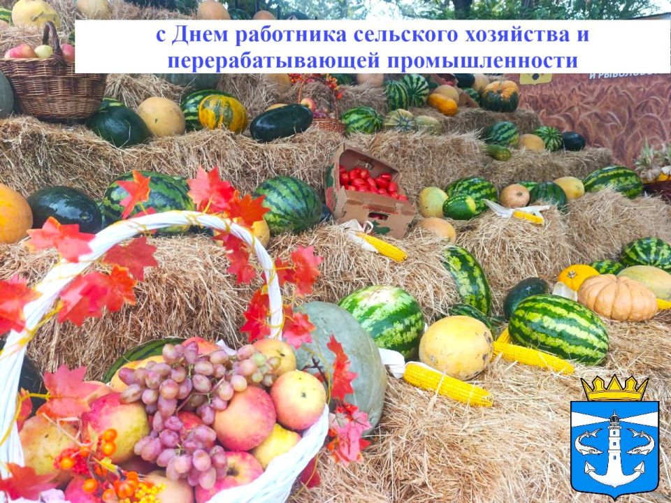 ��������� ��������� � �������� ��������� ��������� � ���������������� �������������� ����������� �������������� ������!