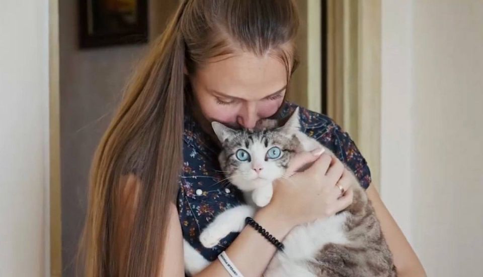 ������ �������� �������: ������ ����� ����� � ������� ������ ������ �������� ����