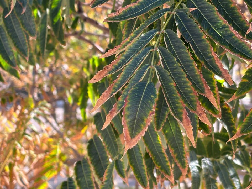 Доброе понедельничное утро, новокаховчане!