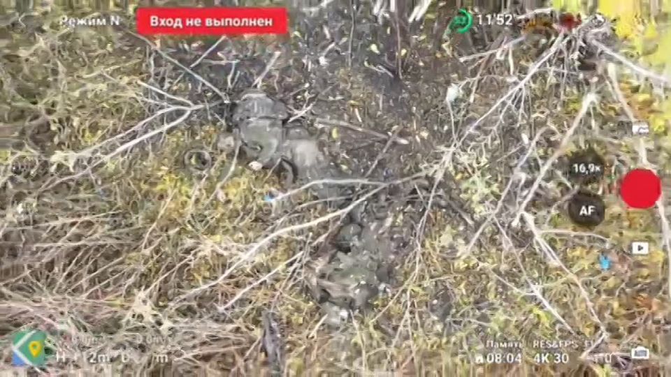 ����� �������� ���������� ������� � ������� �������