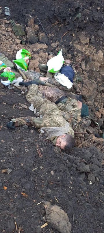 ����� �����. ������� ����. ��������-����� ���������� �������