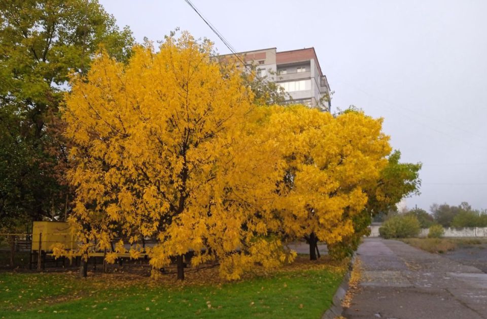 � ������ ����� ������������, ������!