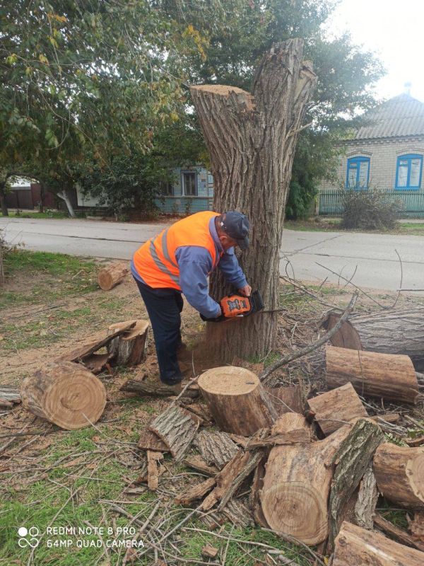 � ���������� ������� ����������� ������ ������������ ������ �� ���������������