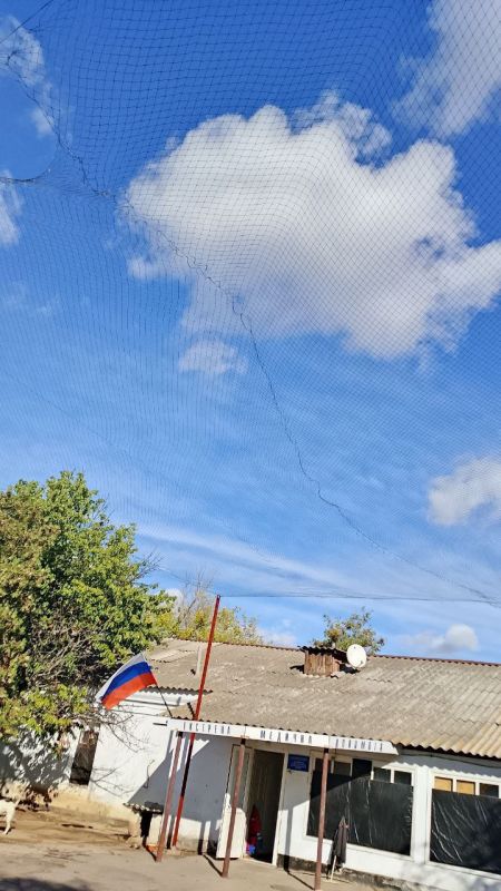 ���� �������������. ���������� �������� ��� ������ ������ ������ ������ ������� ���� �����������