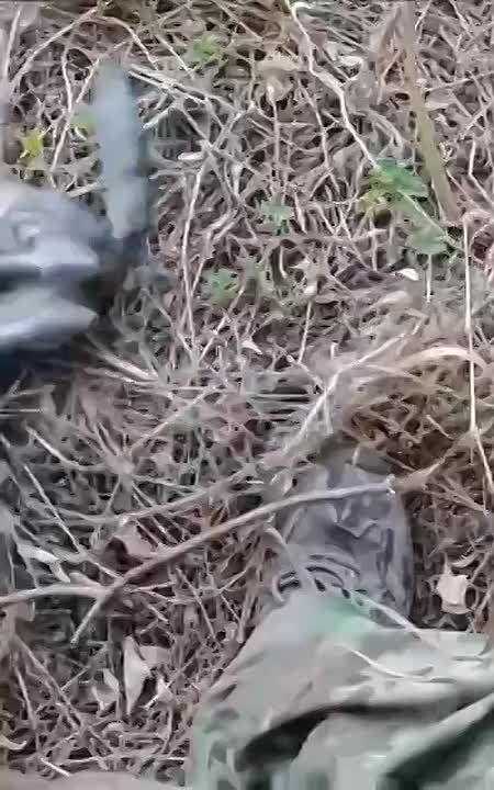 ������� �� �����, ��� �� ���� �� ��� ����� ���������, � ������� �� ����������, � ������������ ��� ������, ��������� ���������� �������, ������� ������ � ���� �� �������