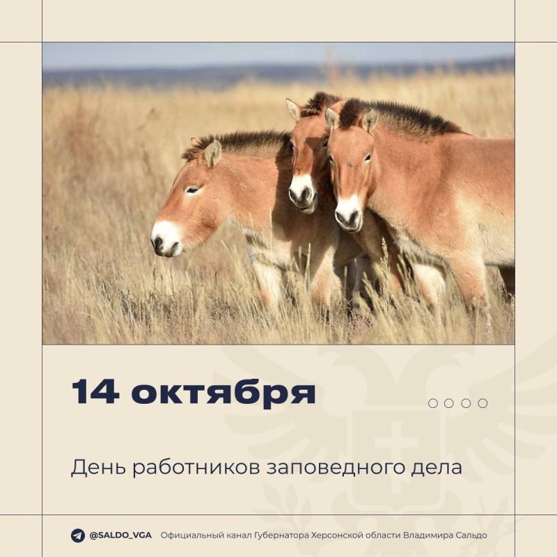 �������� ������: ������� � ���� ��������� ����������� ����