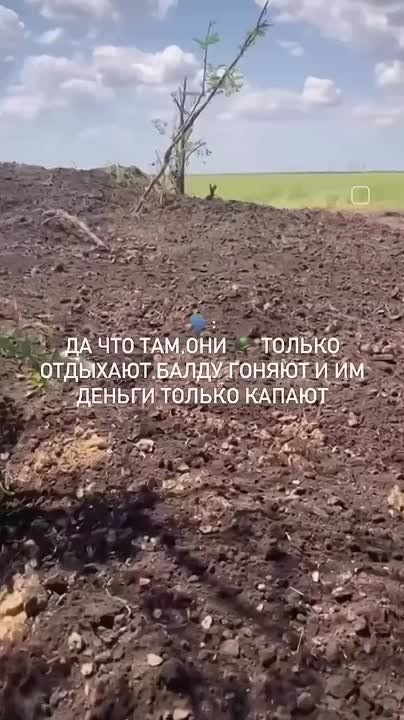 ������, ������� ������� ������� ����� ��������!