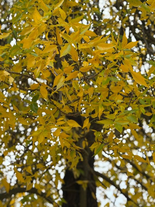 Доброе утро, дорогие жители!