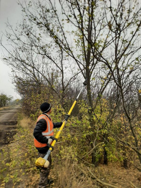 #содержание_дорог. На участке дороги Н-321 Верхний Рогачик специалисты «Херсон Автодор» проводят вырубку кустарника и подлеска вдоль обочин