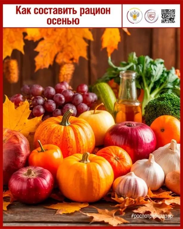 ������� ������� ��� ����������: ������ ����������������