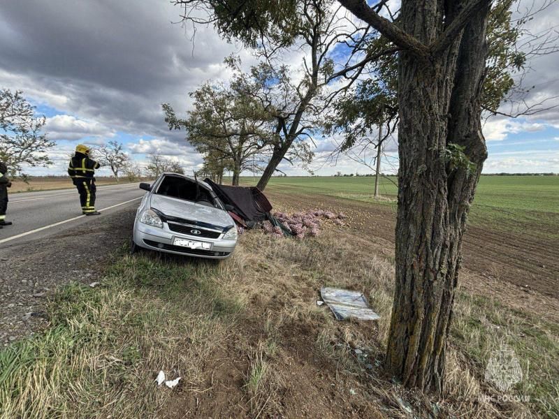 ��������� ��� ������������� ����������� ��� �� ���������� "�������� � �������-����"