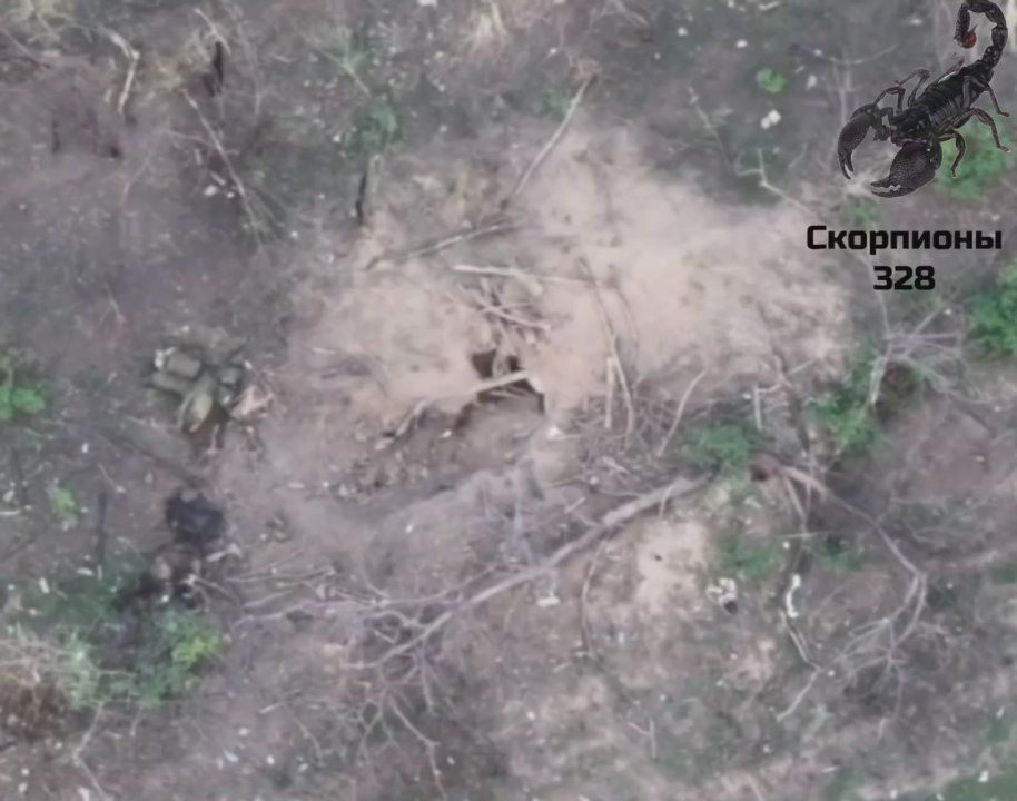 ����������� �����. ������� fpv ����������� 328 �� ��� ���������� ��������� ���������� � ������� �� ���������� �����������