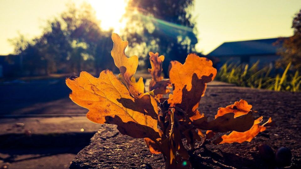 ����� ����, �����������!. ����� �������� ���� ������ �������� ���� � ������� ���� �����������! ����� ���� ����� ���� ����� �������� ��������� � �������! ����� ������� ������, ���� ����� ��������� ��������, ���������...