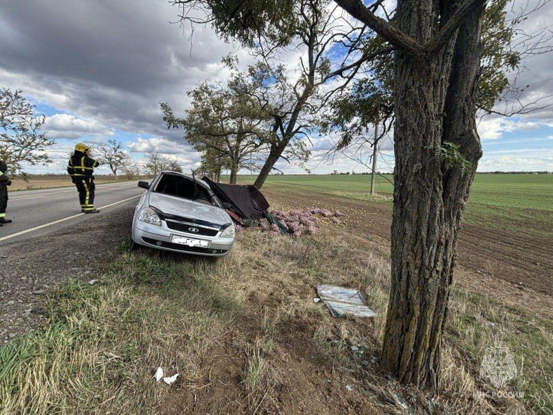 ��������� ��� ������������� ����������� ��� �� ���������� ���