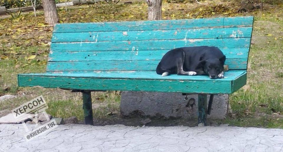 � ������� �� �� ������ ����� ��������� �� �������, ������ "��������" �������� ��� �������, ����� �� ���� ��� �������� � �����