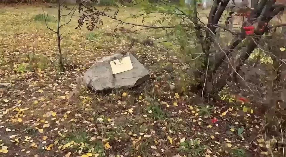 ��������� ������ �����, �� ������� �� ������� ������� ���*� ���������� ��������� ������� ���������� � �������� ����� ����������� ������ ���� �������