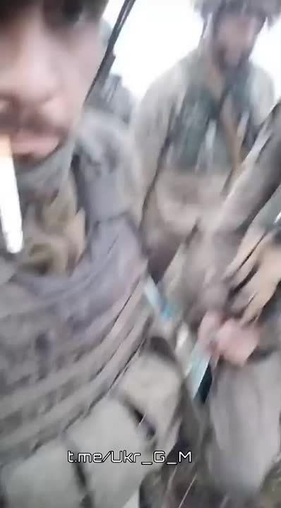 ������ ���� ���������� ����������� ������������ ����� ������������ ������������ ������ � ����� ����