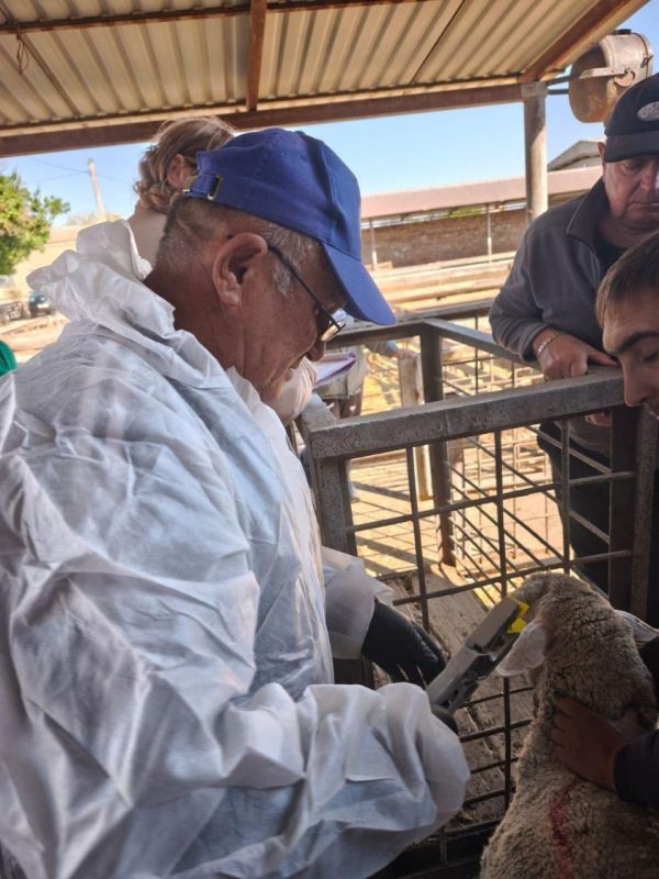 � ���������� � ���������� ������� ������� �������� ��������