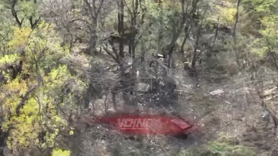 ���� "�����������" ��������� � �������� ����� ��������� �������� ���