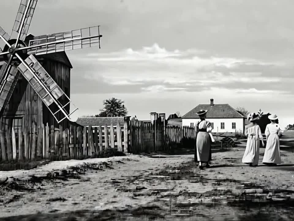 ����, ���� � ������������ "����"