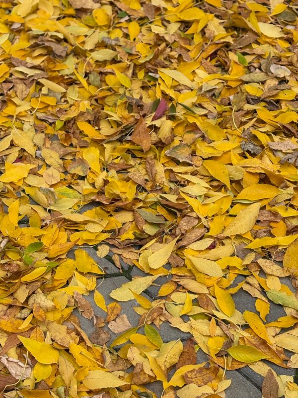 Доброе утро, новокаховчане!