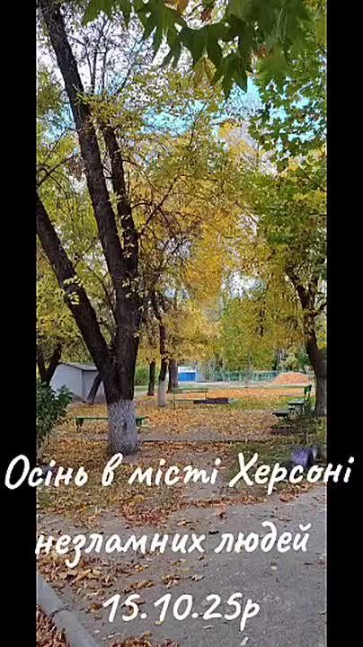 ������, 15/10/2025. �������� ����������� ��� !