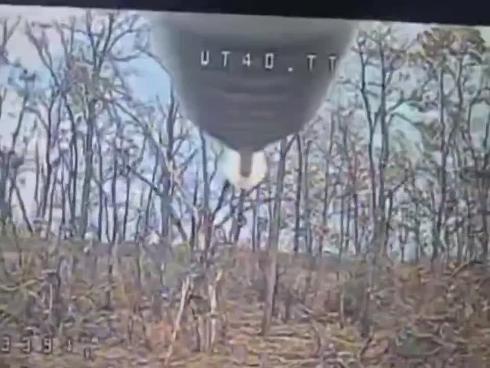 ��� ������.. ��������-����� ���������� �������