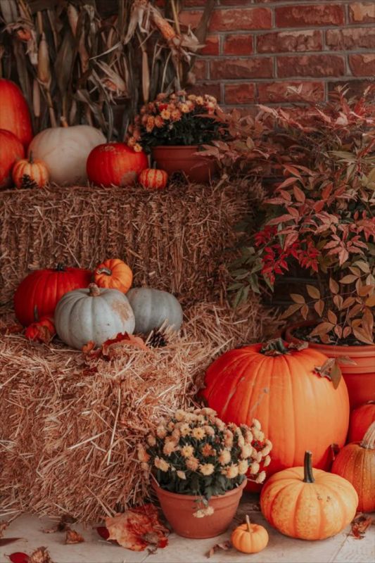 ��� ����� ��� , ���� ��� ������ , �� ������� � �������� . ��� ������� , ���� ������ ���� , ���� �������� ������� �����