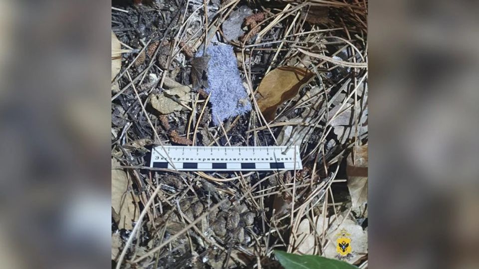 � ���������� ������� � ��������� ��������� �������� ����������� ������ ����� ������ � ����������