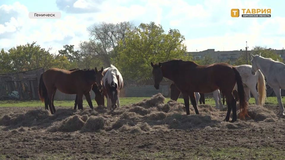 � 1 ������ � ���������� ����������� "�������-����" ����������� ������������� �����