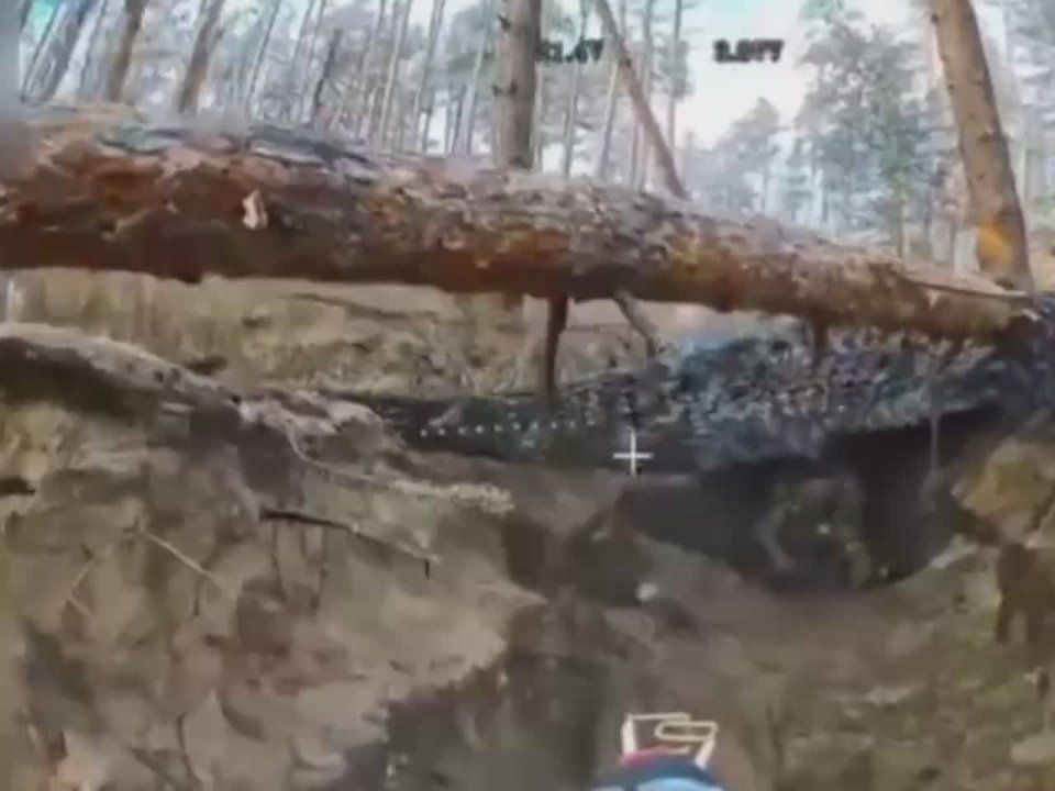 ���� ���������. ����������� ������