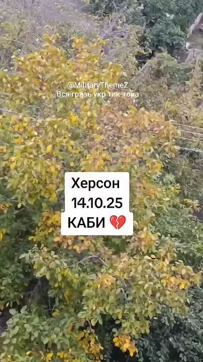 ���� � ������� 14�� ����� ���������� �� � ����