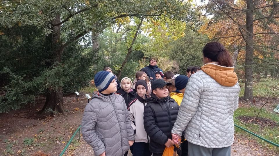 ���� �� ���� ��������� ������������ ������ �������� ���������� ���������� �������� ����