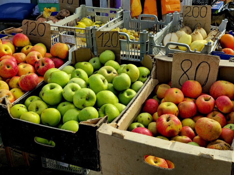 ���� �� ������������ ��������� � ���������� ������� �������� � �������� �������������� ��������, ������� � ������������ �������