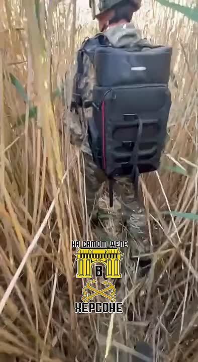 � ������ ��������: ���� ������������ ������ �������� �������� �� ������� �����������!